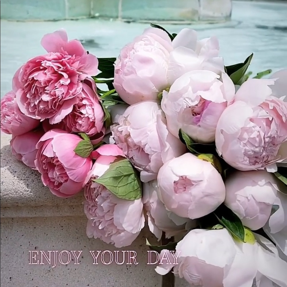 Meet your Posher, Kim